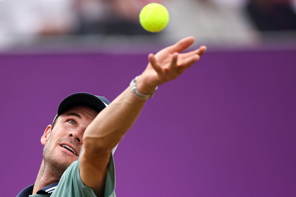 他仍具备顶 他仍具备顶